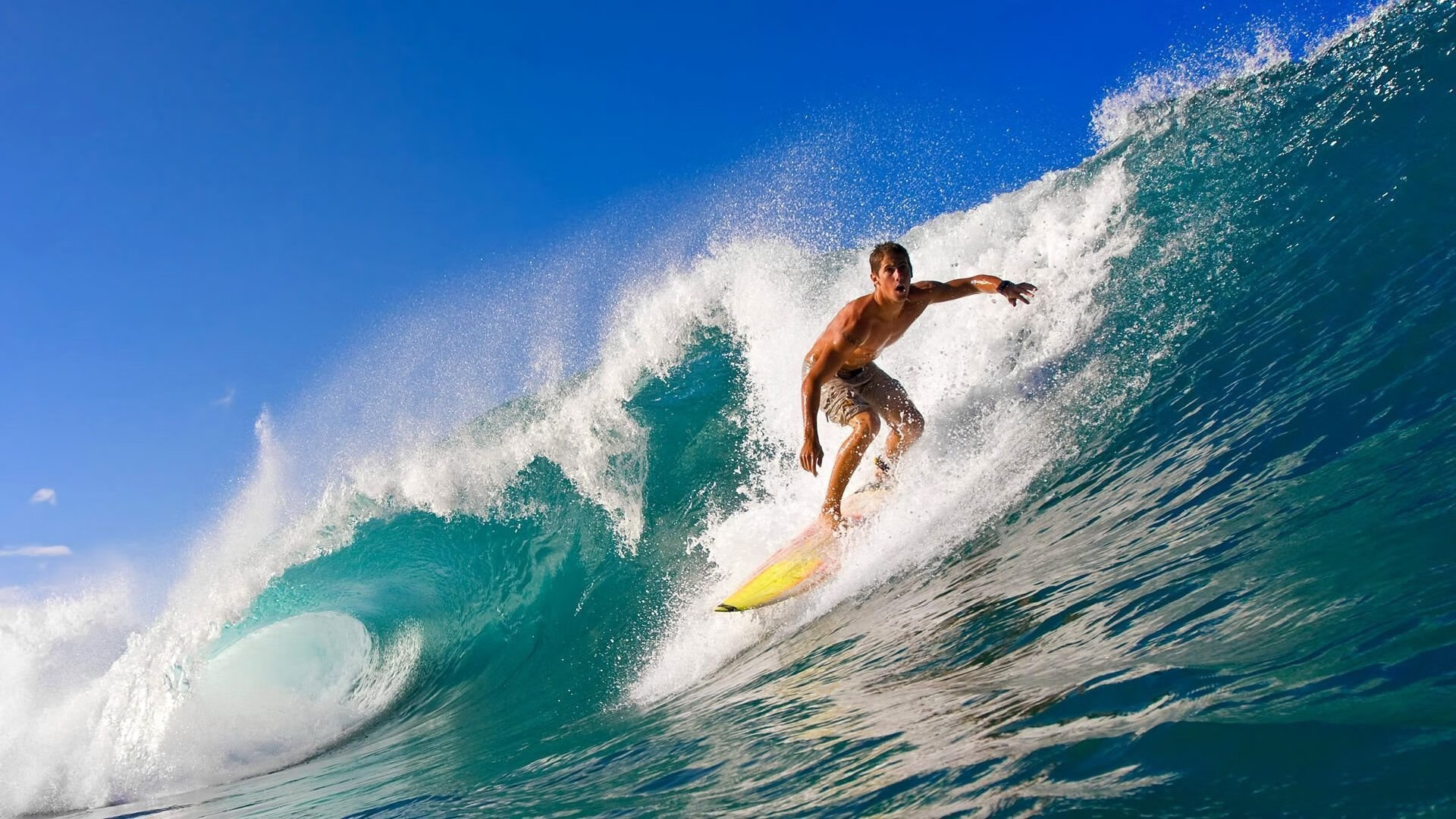 拜仁全队协作打出团队式压迫战术，拜仁全队合影