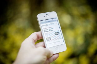 智能训练辅助系统开发与应用，智能训练处理